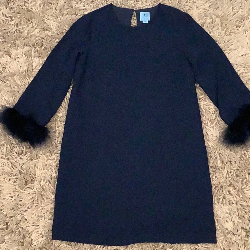 Blue Feather Dress